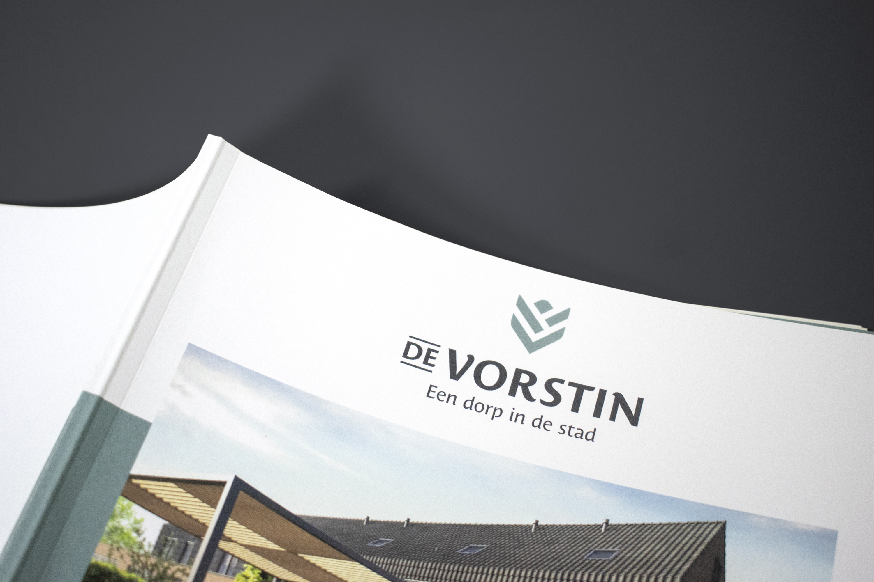 De Vorstin